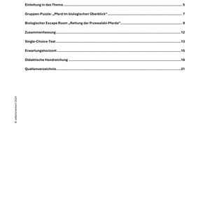 „Pferde verstehen“ – Unterrichtsmaterial für die Sekundarstufe I