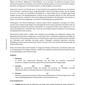 „Pferde verstehen“ – Unterrichtsmaterial für die Sekundarstufe I