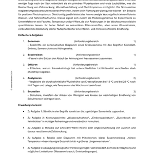 Kresse im Garten – Biologieunterricht SEK I | Experimente & Aufgaben