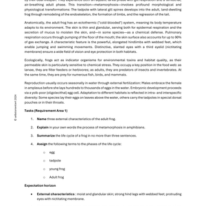 Frogs in the Ecosystem – Biology Lessons (Grades 5–7) | Life Cycles & Habitats