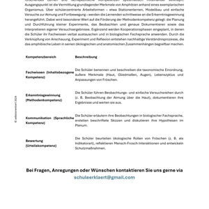 Frösche im Ökosystem – Biologieunterricht SEK I | Lebensräume & Kreisläufe