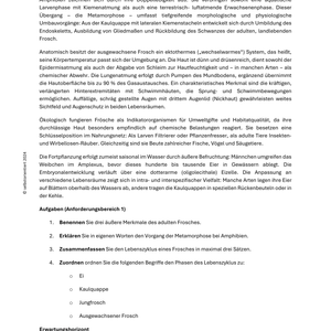 Frösche im Ökosystem – Biologieunterricht SEK I | Lebensräume & Kreisläufe