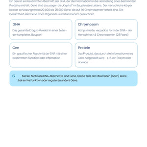 CRISPR & Geneditierung - Unterrichtsmaterial Sekundarstufe I (Klassen 6–8)