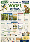 Vögel schützen | Lebensräume, Vogelschutz & Beobachten | Sachunterricht Klasse 3/4