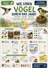Vögel im Jahreslauf | Nest, Brut, Zugvögel & Winterfütterung | Sachunterricht Klasse 3/4