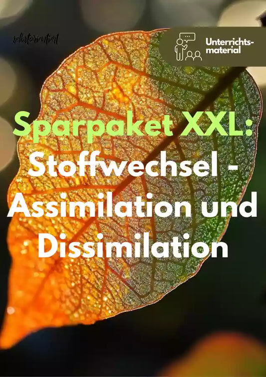 Stoffwechsel verstehen – XXL-Sparpaket Assimilation & Dissimilation