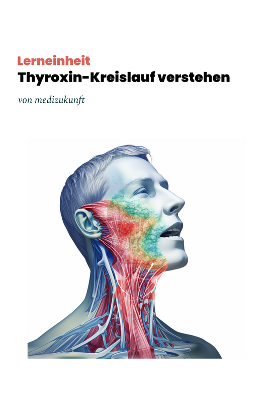 Learning unit: Understanding the thyroxine control circuit