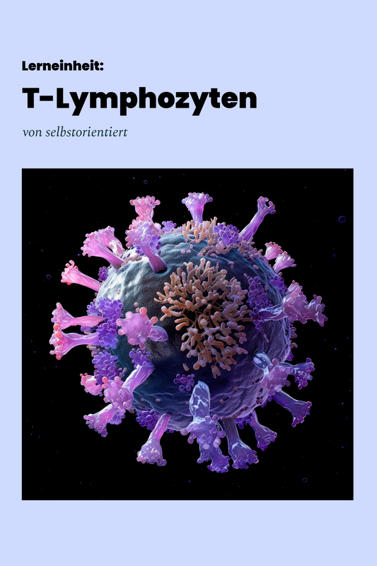 Das Immunsystem: T-Lymphozyten (Lerneinheit)
