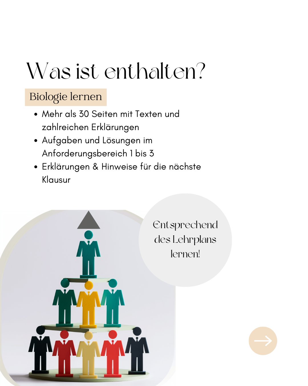 Lernheft: Aufbauender Stoffwechsel (Biologie Abitur) - stifo - Students & Teachers Innovate Forward