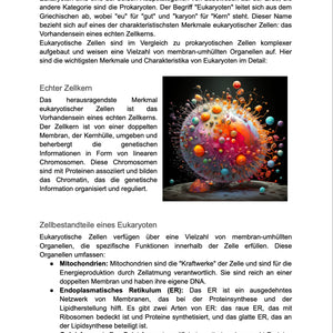 Lernhilfe: Eukaryoten und Prokaryoten im Vergleich (Mitose & Meiose) - stifo - Students & Teachers Innovate Forward