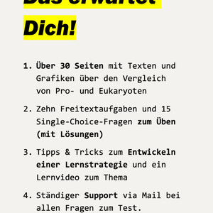 Lernhilfe: Eukaryoten und Prokaryoten im Vergleich (Mitose & Meiose) - stifo - Students & Teachers Innovate Forward