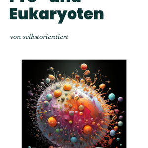 Lernhilfe: Eukaryoten und Prokaryoten im Vergleich (Mitose & Meiose) - stifo - Students & Teachers Innovate Forward