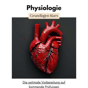 Physiologie: Grundlagen Kurs für die Pflege Ausbildung - stifo - Students & Teachers Innovate Forward