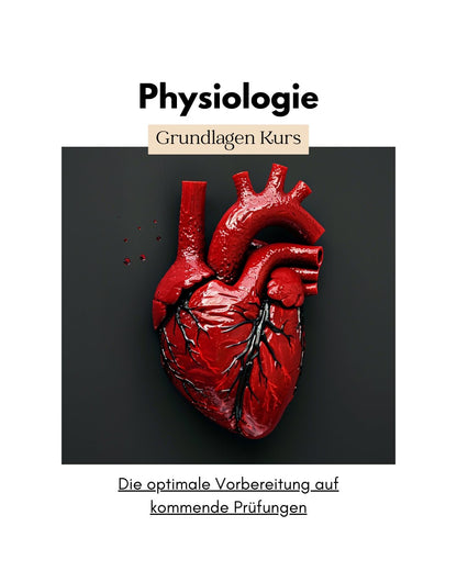 Physiologie: Grundlagen Kurs für die Pflege Ausbildung - stifo - Students & Teachers Innovate Forward