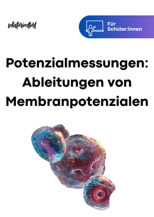 Potenzialmessungen: Ableitung von Membranpotenzialen in Biologie - stifo - Students & Teachers Innovate Forward