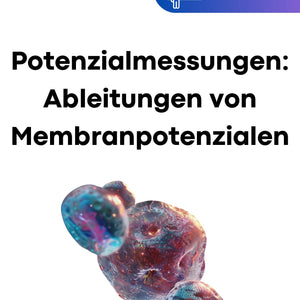 Potenzialmessungen: Ableitung von Membranpotenzialen in Biologie - stifo - Students & Teachers Innovate Forward