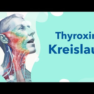 Learning unit: Understanding the thyroxine control circuit