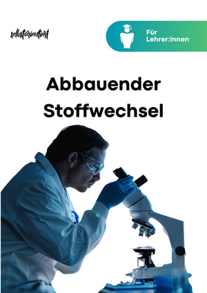 Unterrichtsreihe "Abbauender Stoffwechsel" im Biologie Lehrplan - stifo - Students & Teachers Innovate Forward