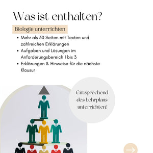Unterrichtsreihe: Aufbauender Stoffwechsel (Biologie Abitur) - stifo - Students & Teachers Innovate Forward