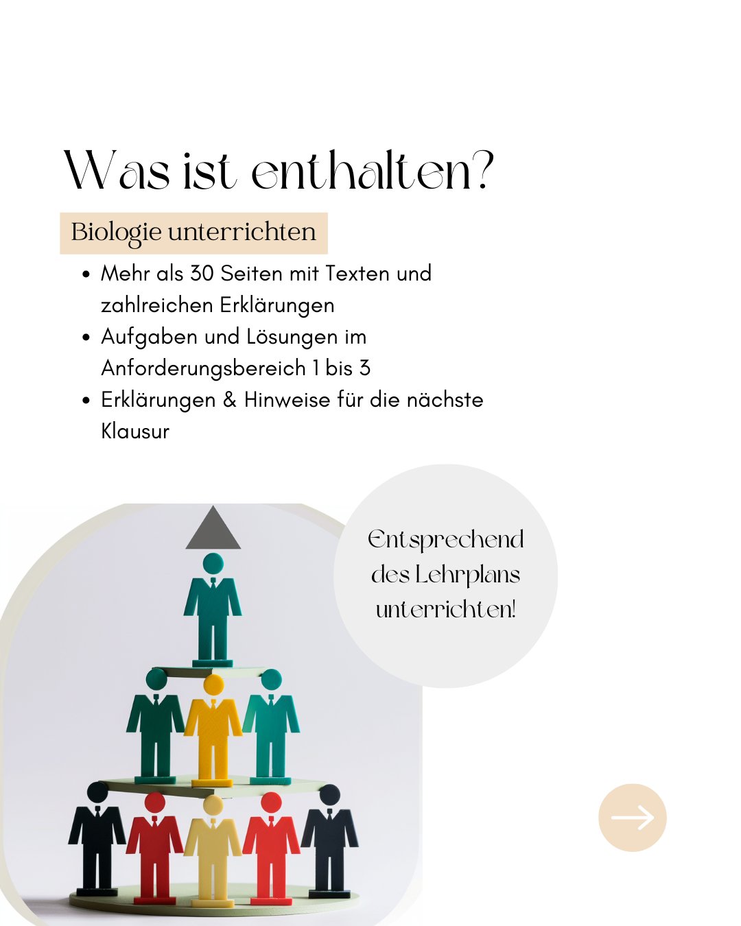 Unterrichtsreihe: Aufbauender Stoffwechsel (Biologie Abitur) - stifo - Students & Teachers Innovate Forward