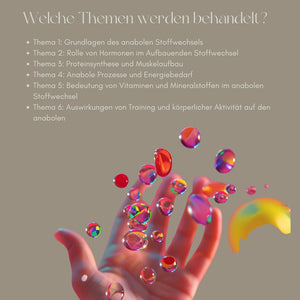 Unterrichtsreihe: Aufbauender Stoffwechsel (Biologie Abitur) - stifo - Students & Teachers Innovate Forward