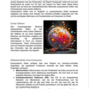 Unterrichtsreihe: Pro - und Eukaryoten im Vergleich (Texte, Stundenentwürfe und Test) - stifo - Students & Teachers Innovate Forward
