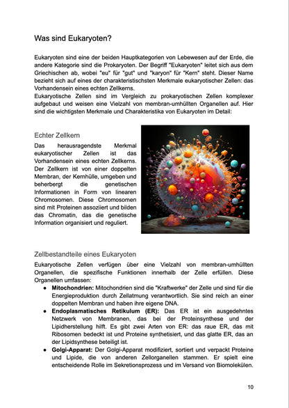 Unterrichtsreihe: Pro - und Eukaryoten im Vergleich (Texte, Stundenentwürfe und Test) - stifo - Students & Teachers Innovate Forward