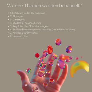 Unterrichtsreihe: Stoffwechselwege im Überblick - stifo - Students & Teachers Innovate Forward