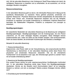 Unterrichtsreihe: Stressmodell nach Lazarus (Material) - stifo - Students & Teachers Innovate Forward