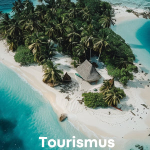 Unterrichtsreihe: Wirtschaftsfaktor Tourismus in seiner Bedeutung für unterschiedlich entwickelte Räume - stifo - Students & Teachers Innovate Forward